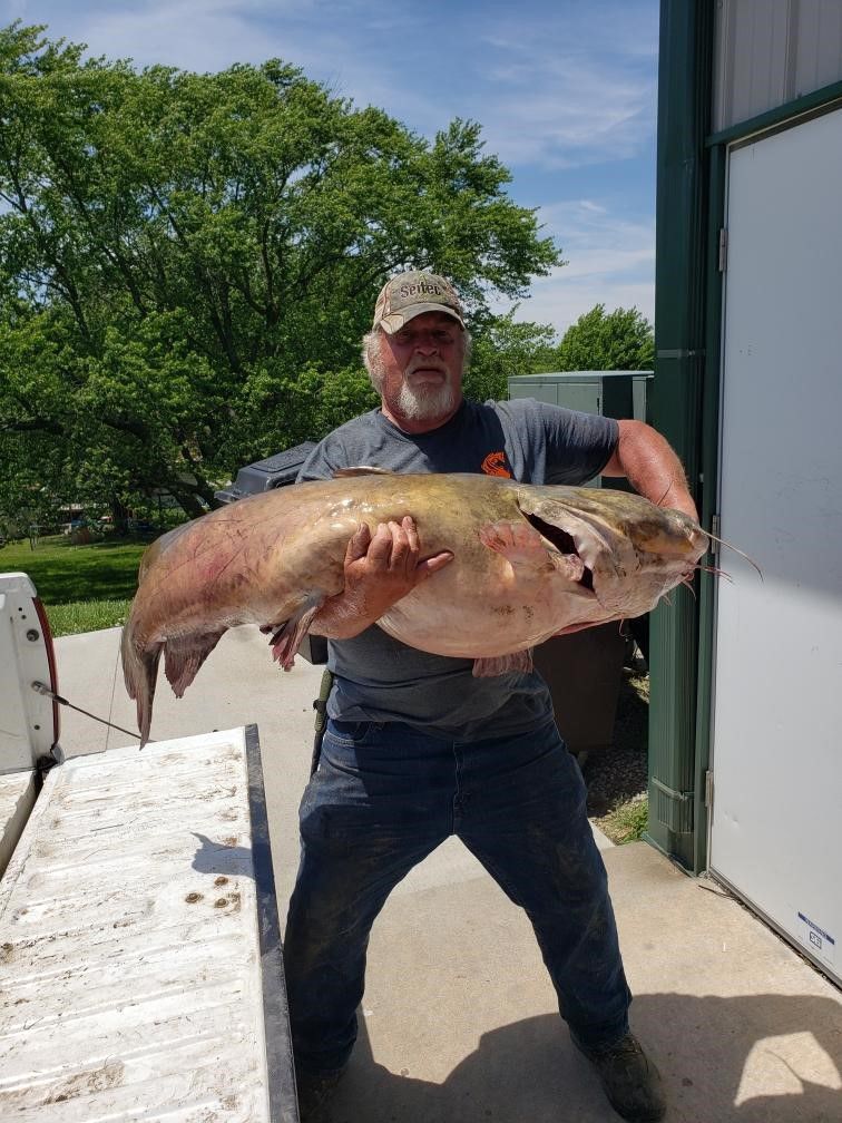 Flathead1